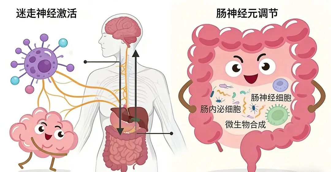 澳洲每年超5000人受影响!这项全球第一的数据,道破肠道核心真相(组图) - 7