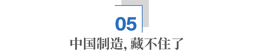 中国小伙用激光打蚊子,在海外卖爆了(组图) - 12