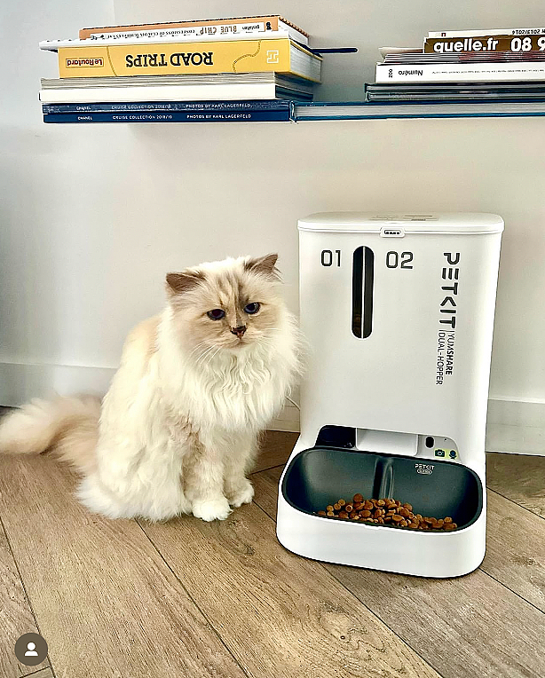 世界最富有猫被“吃绝户”?落魄千金只能打工赚猫粮? - 52