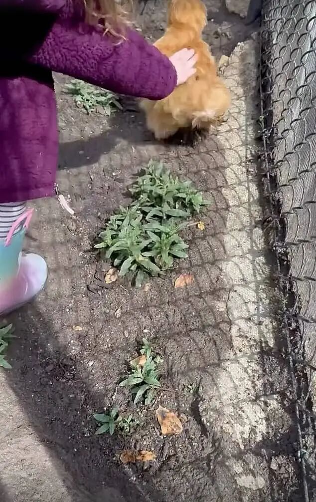 梅根哈里让网飞狂亏一千万刀，拍纪录片推广惨败，如今分道扬镳后遭网飞怒吐槽（组图） - 16