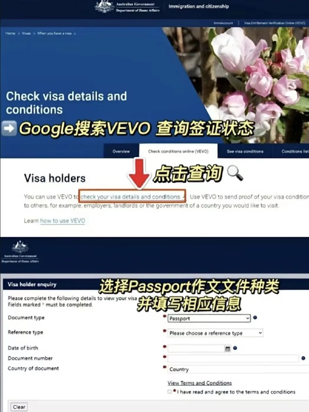 【留学申请】澳洲500学签/续签DIY保姆级攻略 - 1