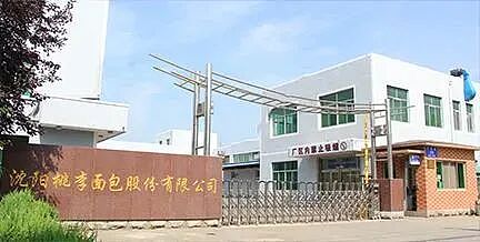 8年套现31亿：91岁东北“面包首富”，跌下神坛？（组图） - 4