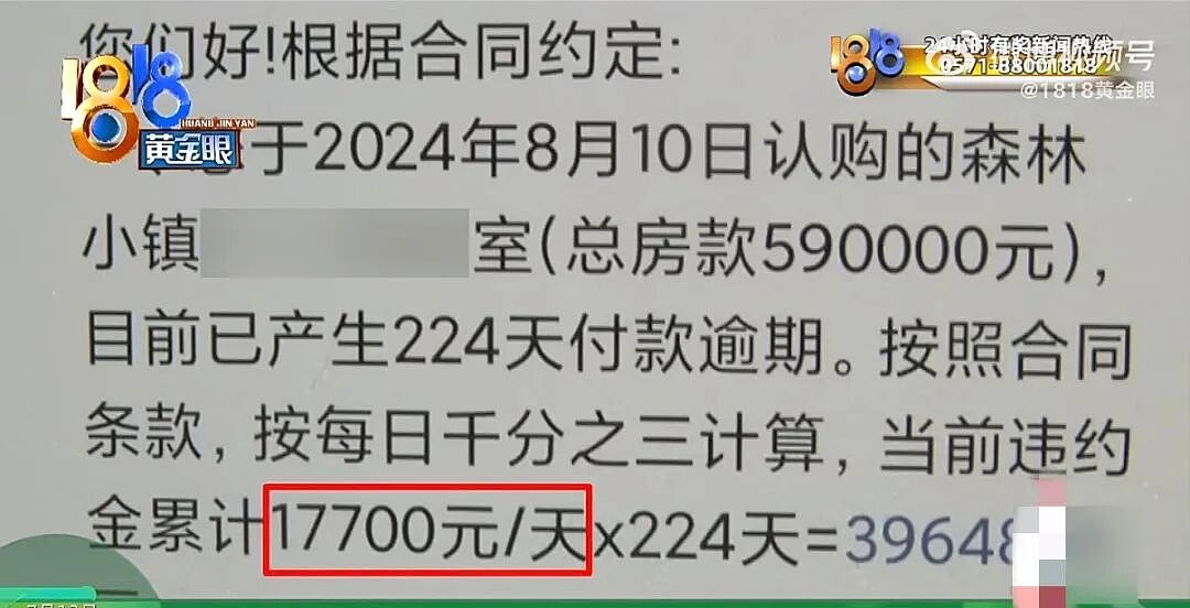 老人旅游时分期购入59万元海景房,支付37.6万后无力还款,逾期224天被告知违约金近400万 - 7