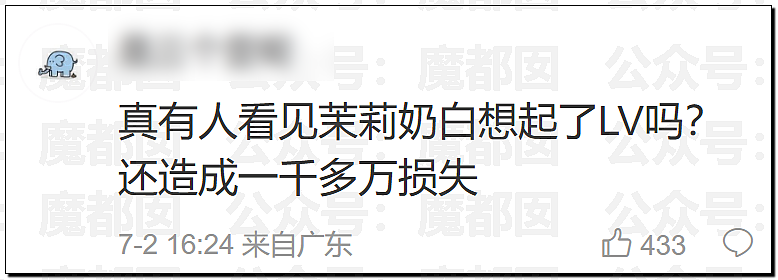 LV起诉茉莉奶白商标侵权判赔千万！传统宝相花纹样归属引热议（组图） - 6