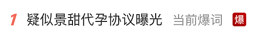 网传女演员景甜代孕并向富豪男友索要上亿钱款，工作室回应 - 1