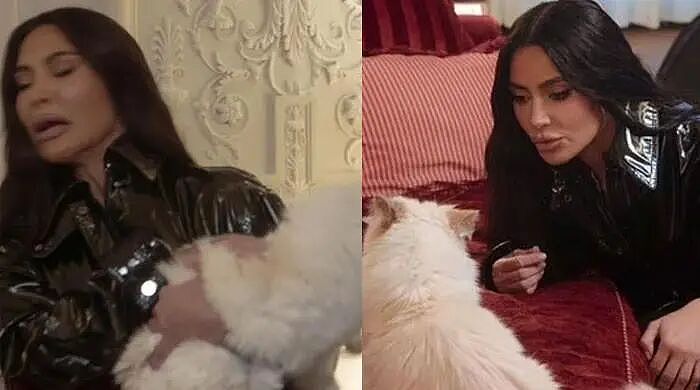 世界首富猫为何破产?老佛爷给它留了150万刀遗产,如今蜗居公寓落差太大!(组图) - 18