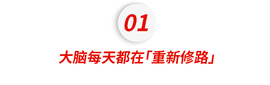 斯坦福科学家最新发现:戒掉短视频上瘾,只要一个小动作 - 2