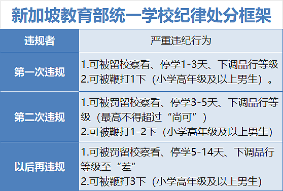 小学生“犯法”一样被打鞭！新加坡教育管制放狠招，中国新移民家长坐不住了（组图） - 8