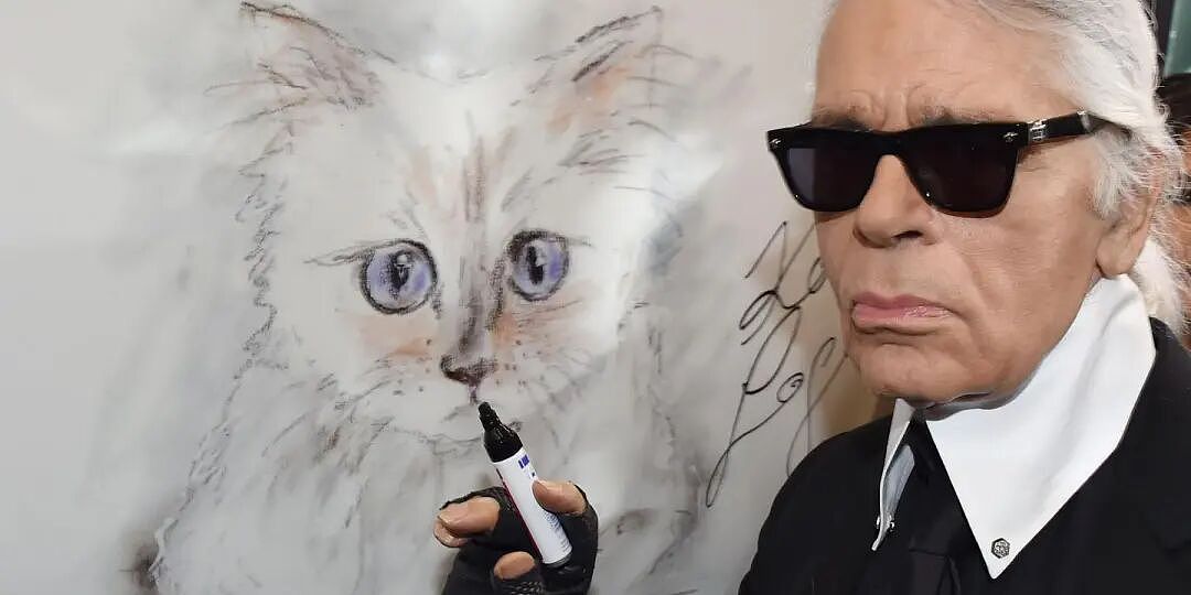 世界首富猫为何破产?老佛爷给它留了150万刀遗产,如今蜗居公寓落差太大!(组图) - 4