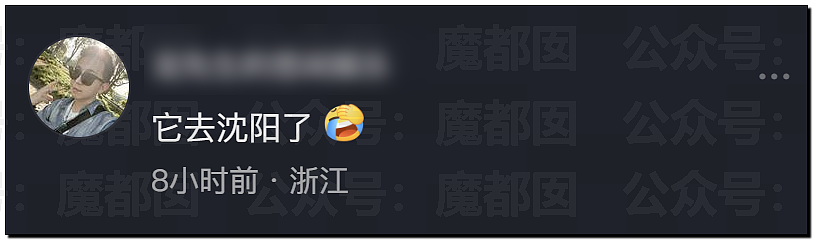 突发反转!甜美天才少女蒋方舟被撤销学位!B子立牌坊终于崩塌! - 3