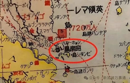 新加坡官媒最新曝光: 731“孪生”部队曾驻扎、全岛沦为鼠疫跳蚤培育基地,日军肆虐东南亚… - 15