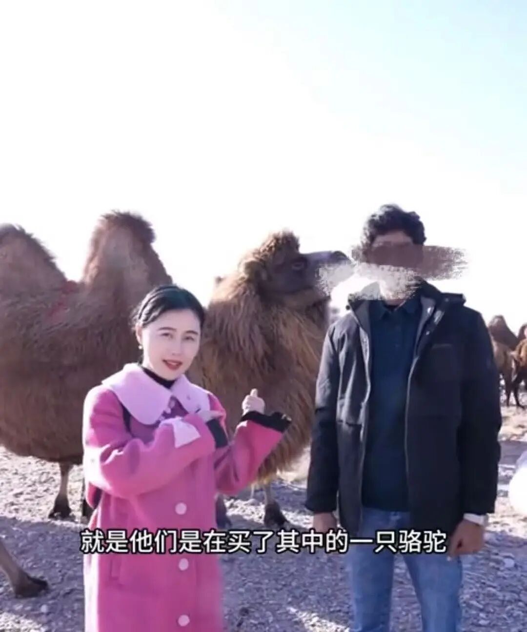 千万粉丝博主翻车!雇佣老外假扮悉尼大学教授带货,出场费$750(组图) - 3
