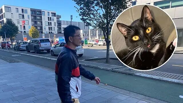 一华人男子恶行激怒新西兰人，要“众筹送他去坐牢”！曾有人因此被遣返（组图） - 1