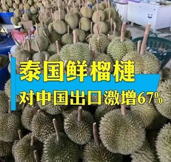 遭“中国版阳光金果”逼宫,新西兰“国果”或要变成中国产!(组图) - 3