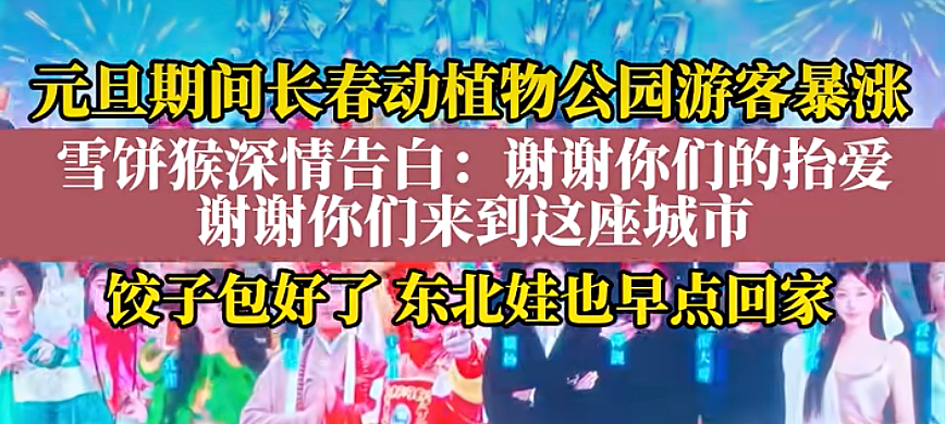 人均30元的“穷鬼版迪士尼”,截胡迪士尼的生意 - 23