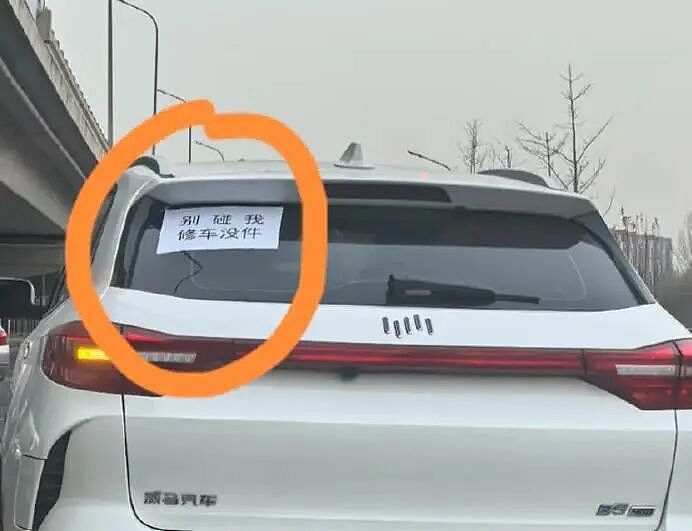 中国电动汽车大逃杀!九成品牌消失,百万“孤儿车主”求助无门(组图) - 11