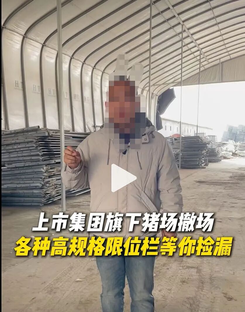 猪价跌至近15年低点，短视频热传“集团猪场倒闭潮”，真相如何？（组图） - 2