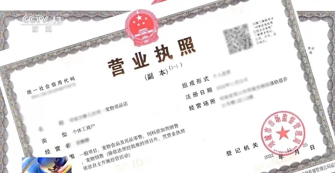 央视曝光动物救助直播骗局：低价买残疾狗卖惨摆拍，骗了250万仅3000元用在狗身上，平台投流60多万，其余大部分用于买豪车等挥霍 - 21