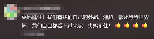 专坑中国的世界杯,背刺最大金主(组图) - 27