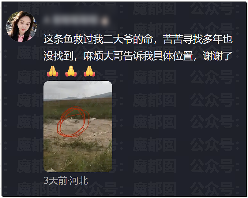 丘成桐发怒把一群“邱班数学天才学生”清退内幕大家听说了么? - 18
