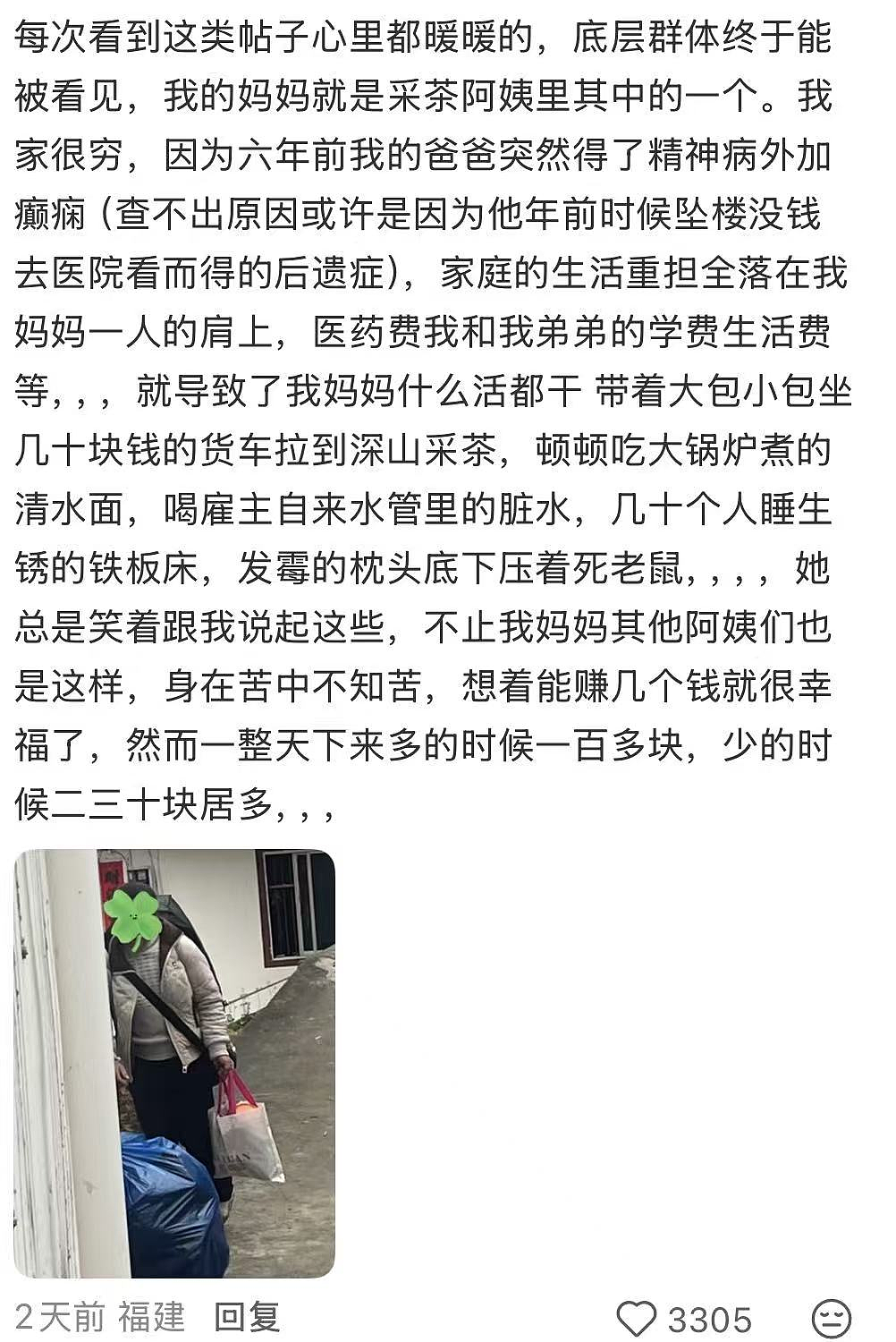 “浙江采茶女”最窒息一幕冲上热搜:天价茶叶和她们形成鲜明对比 - 8