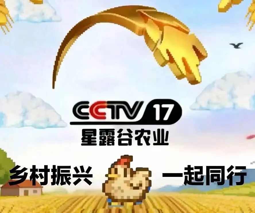 中产最烧钱的户外运动：种地 - 6