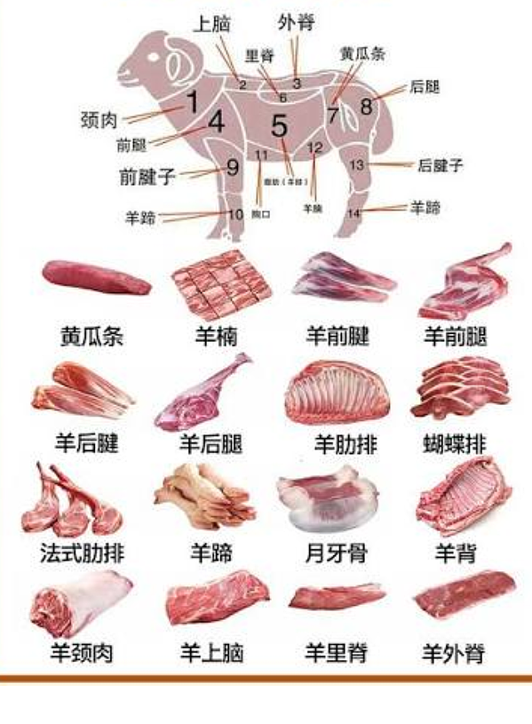 澳洲羊肉价格处于历史新高（组图） - 3