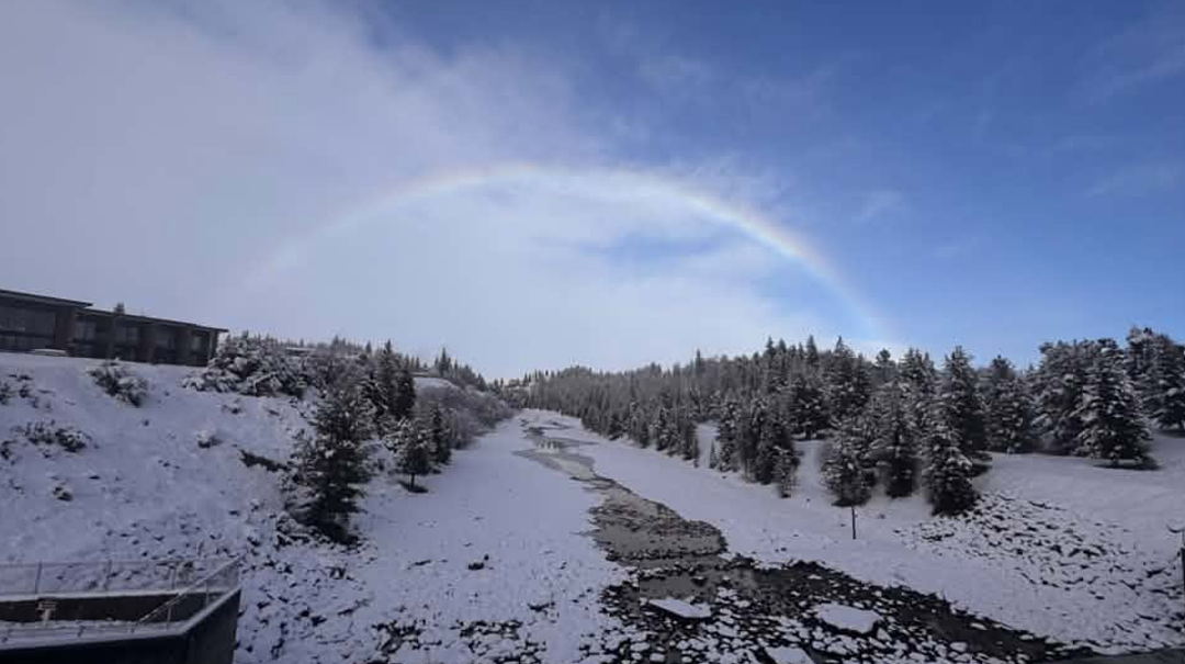 新西兰一地进入紧急状态!25厘米暴雪砸下,华人游客被困,发贴“求出逃”...(组图) - 28