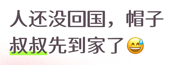 华人还没回国，就先接到国内电话：注销户口！刚给孩子办好旅行证（组图） - 1