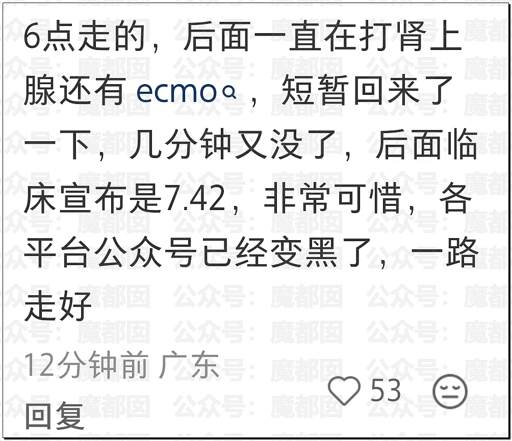 张雪峰老师心源性猝死抢救无效去世！享年41岁（组图） - 16