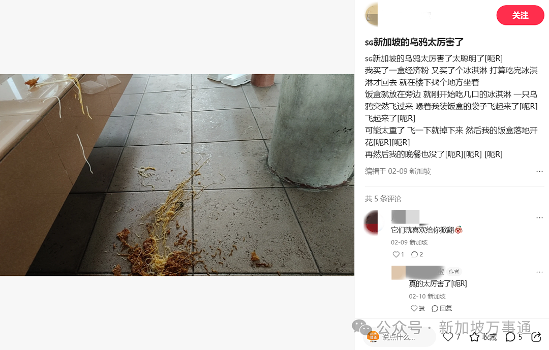 新加坡“黑帮”惨遭围剿!全岛9区紧急射杀,1天击毙16名成员(组图) - 9