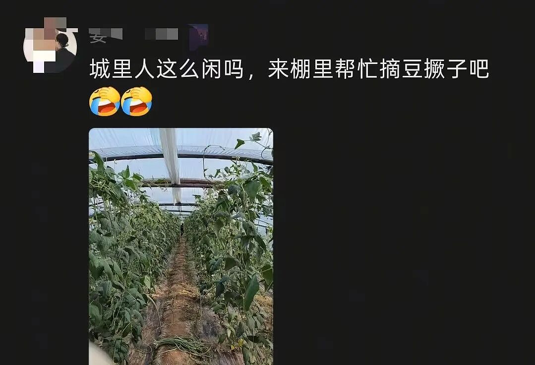 人傻钱多的“城巴佬”，快把农村人整懵了 - 11