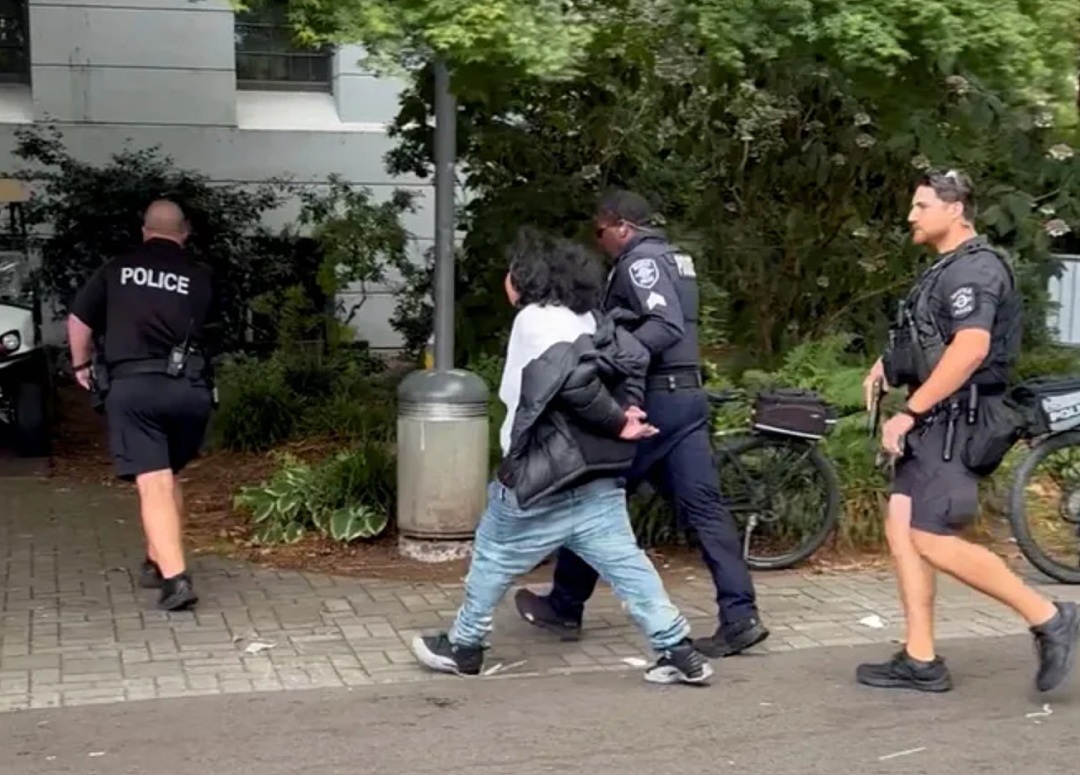 7人死伤！美食节两人突然拔枪互射，数千游客疯狂逃命，众多华人在场 - 5