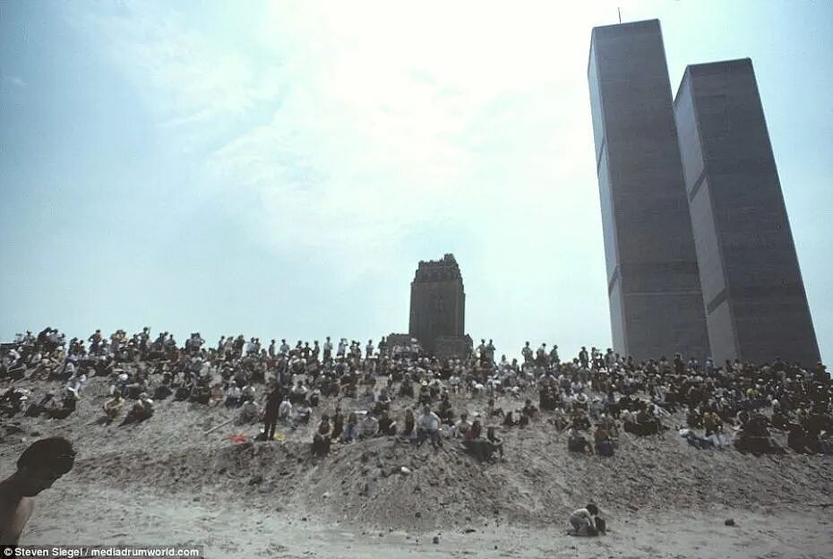 拿下纽约1000亿的地王后，她却种起了地？网友：她好疯，我好爱 - 5