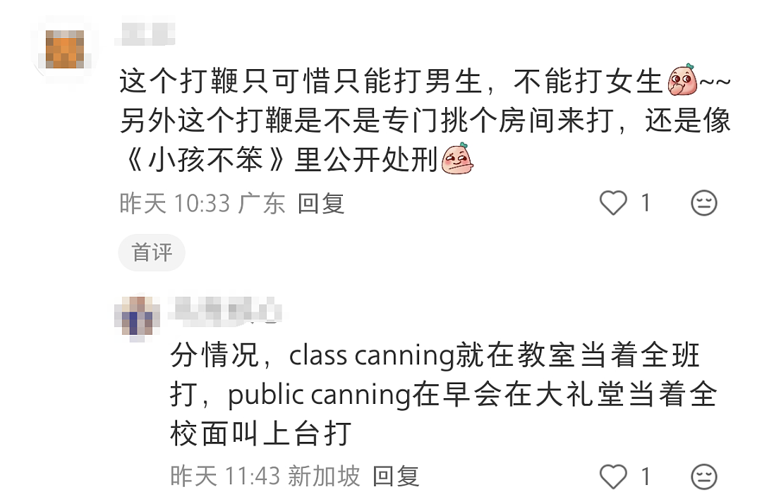 小学生“犯法”一样被打鞭！新加坡教育管制放狠招，中国新移民家长坐不住了（组图） - 20