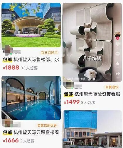 杭州豪宅最高验资门槛来到8000万元，二手平台宣称2388元“包过”：售楼处外有人做起了隐秘生意，怎么操作？ - 2