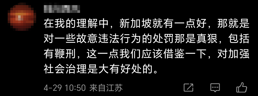 中国网红博主硬核剖析新加坡“封神级”5大生存优势！唯独这点引惹怒无数网友... - 13