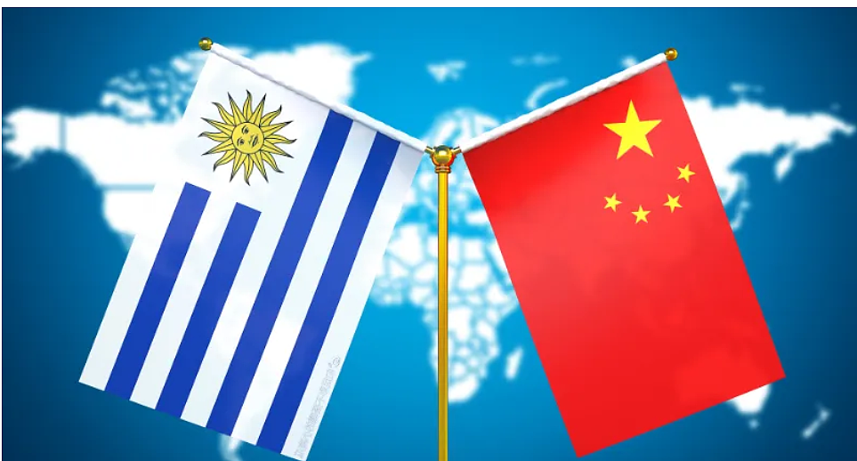 好地方！又一国将对中国公民免签 - 4