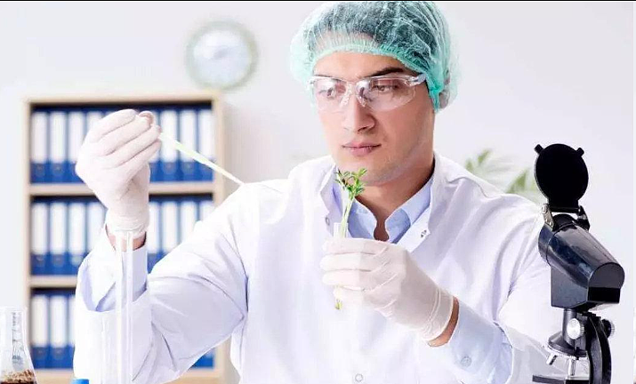 澳洲医学实验室科学:隐形王者专业,高薪永久居留不内卷 - 2
