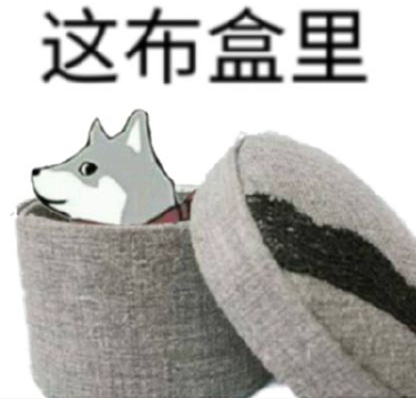 嫌弃开空调不优雅的欧洲人,今年终于热破防了 - 3