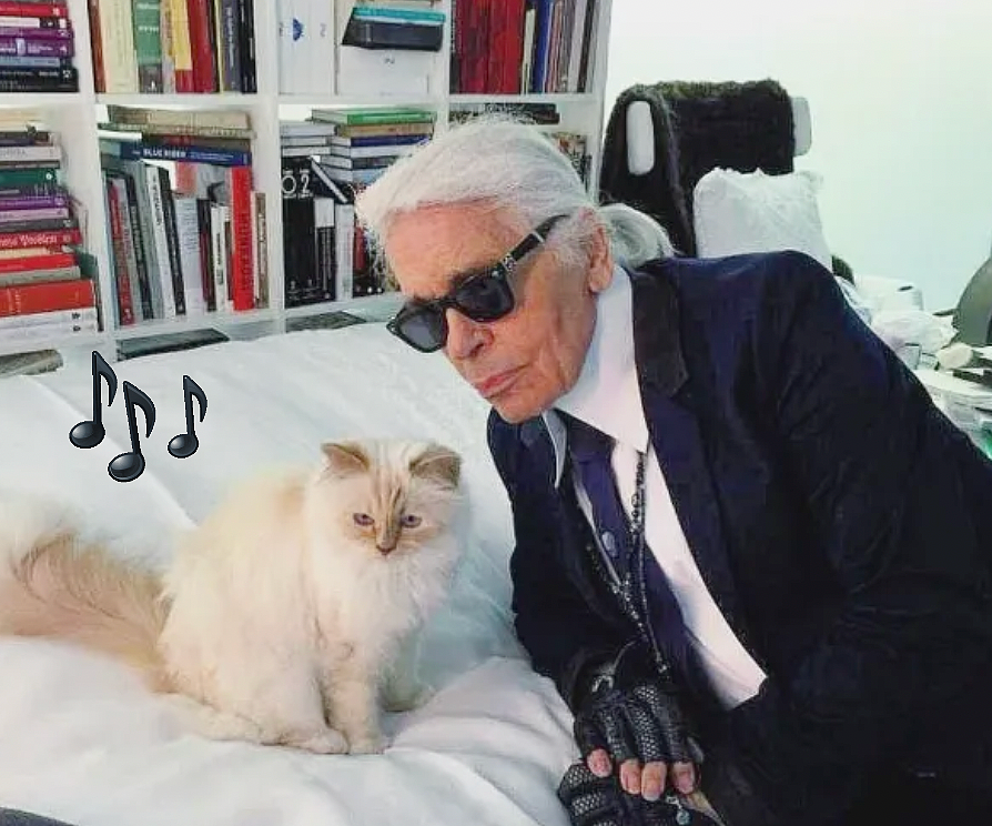 世界最富有猫被“吃绝户”?落魄千金只能打工赚猫粮? - 22