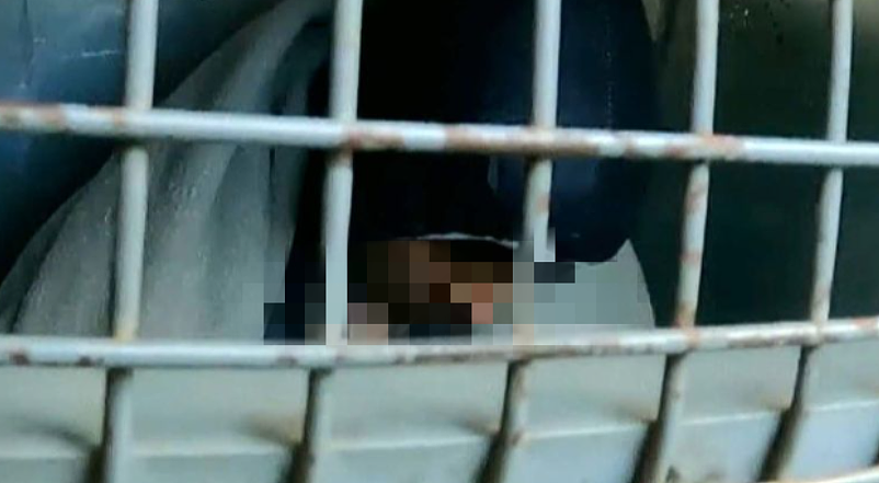 3死一重伤,澳洲华裔家庭惨案!父母双亡,儿子被指控(组图) - 4