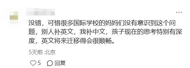 国际学校的孩子，已经不会讲中文了（组图） - 5