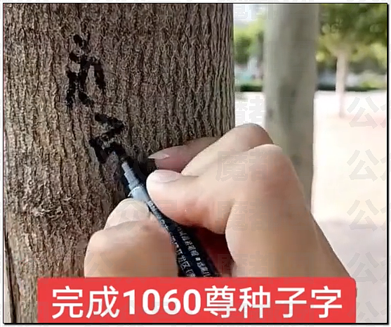 惊悚!全国各地树上忽然集中出现大量诡异奇怪符号!真相是? - 42