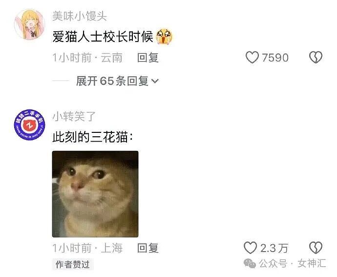 相亲对象竟是宋仲基?场面太尴尬了!网友笑喷:媒婆不上网吗?(组图) - 27