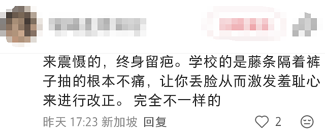 小学生“犯法”一样被打鞭！新加坡教育管制放狠招，中国新移民家长坐不住了（组图） - 22