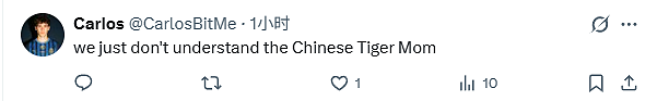 华人“虎妈”因涉嫌虐童遭移民局逮捕！恐遣返回中国（组图） - 4