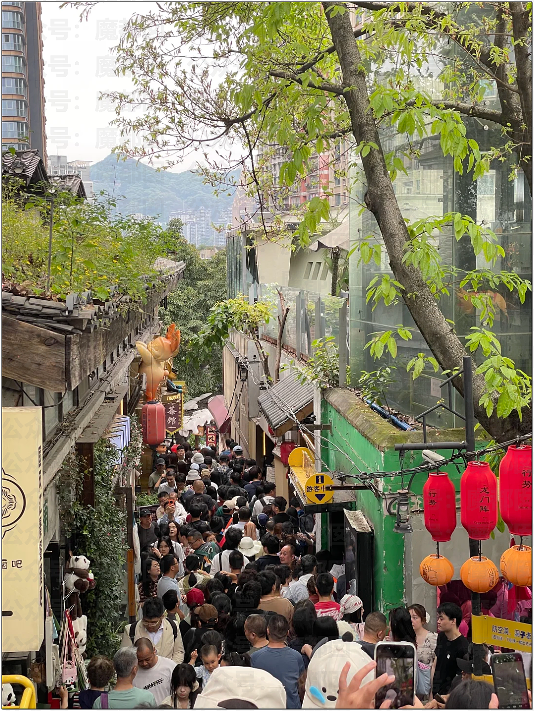 肉贴肉，人挤人！五一长假首日，中国各大景点已爆（组图） - 87
