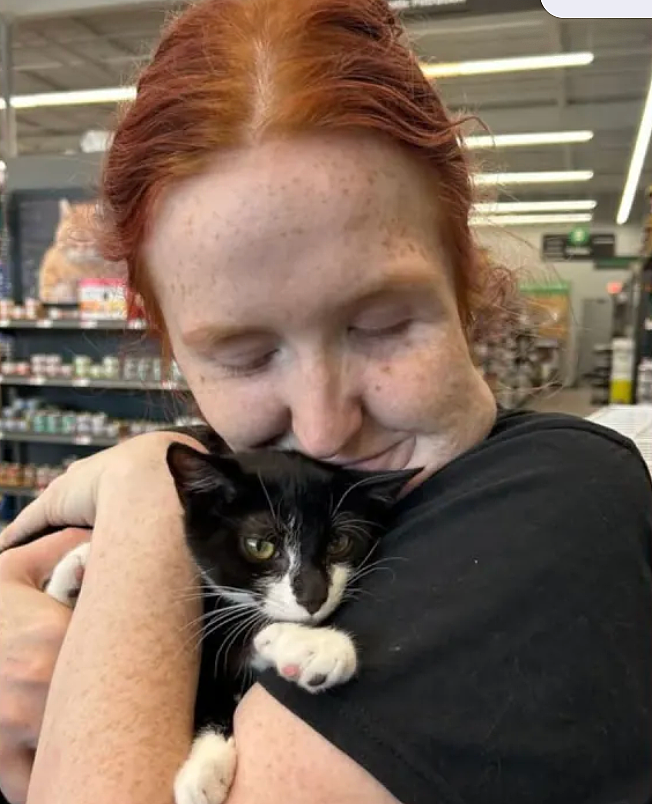 男子偷了只猫，然后抱着猫去抢银行？猫猫：被迫开启犯罪生涯 - 5