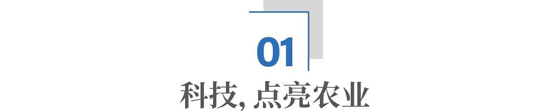 小小辣椒，何以成就千亿产业？（组图） - 2